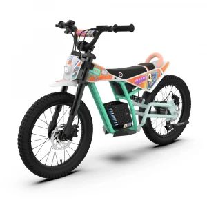 Электромотоциклы CyberEagle PRO18